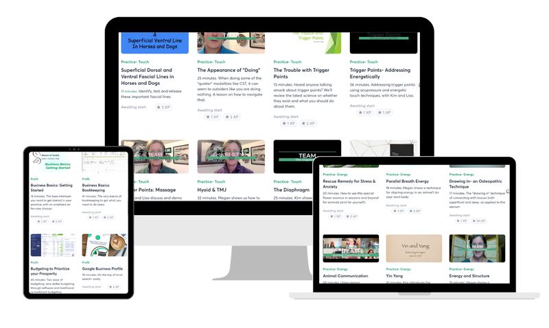 The TEAM training library on desktop and laptop