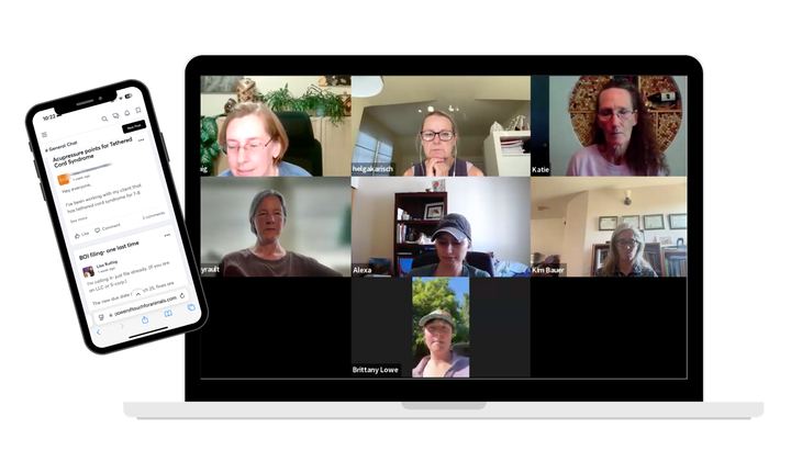 A TEAM coaching call on Zoom