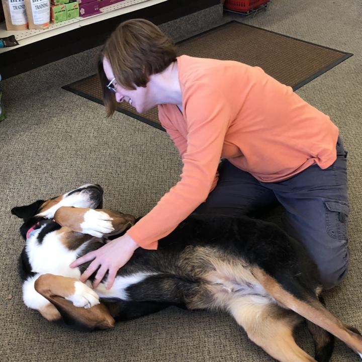 Lisa working with a dog